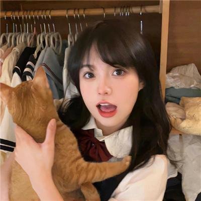 警网